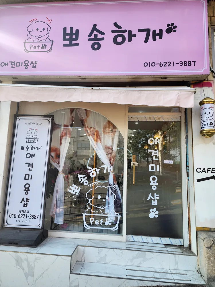 뽀송하개 대표 이미지