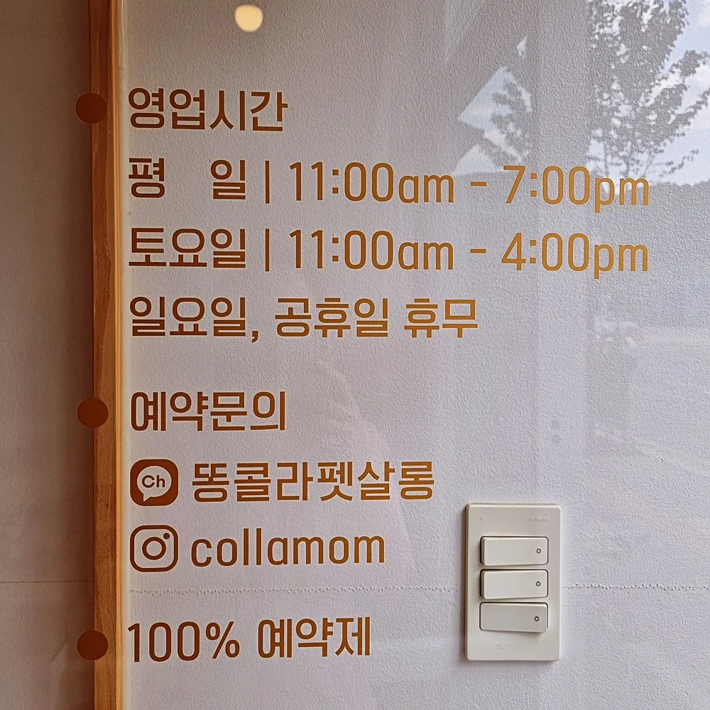 똥콜라펫살롱 대표 이미지