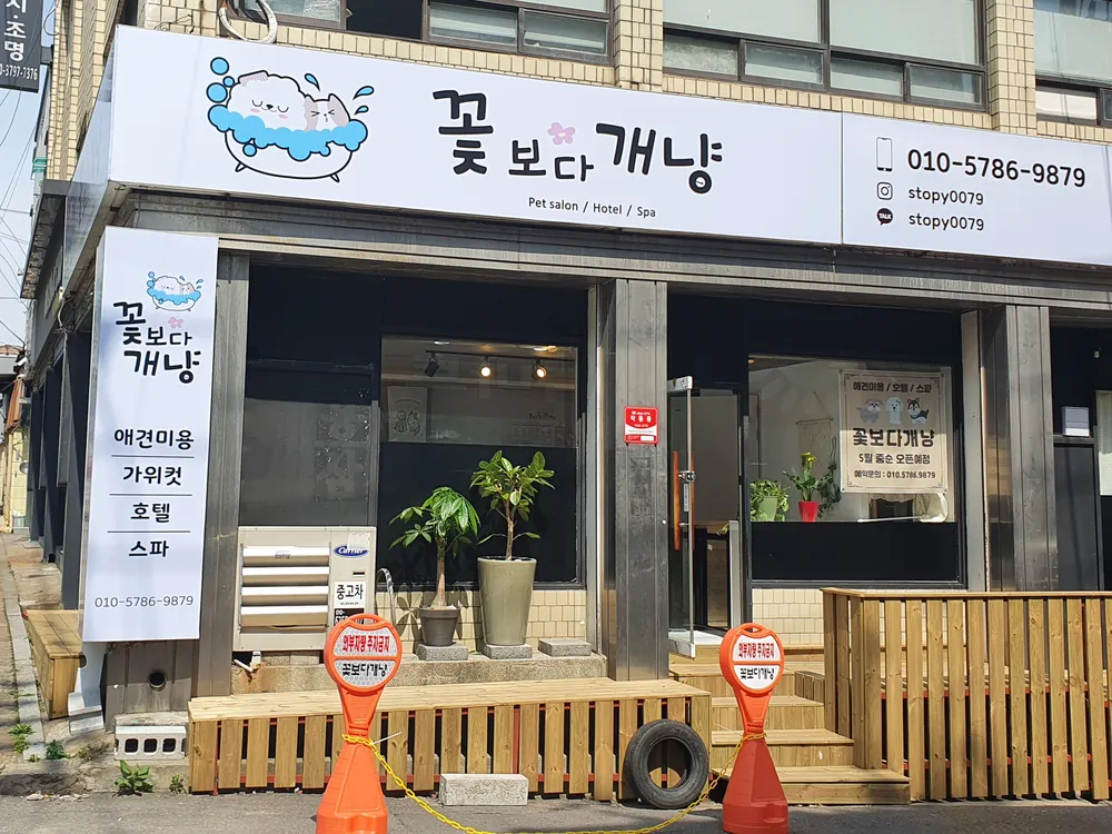 꽃보다개냥 대표 이미지