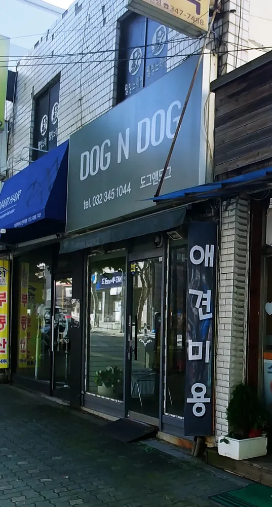 도그앤도그 대표 이미지