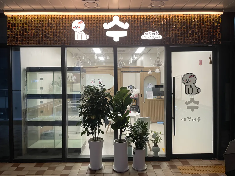 수애견샵 대표 이미지