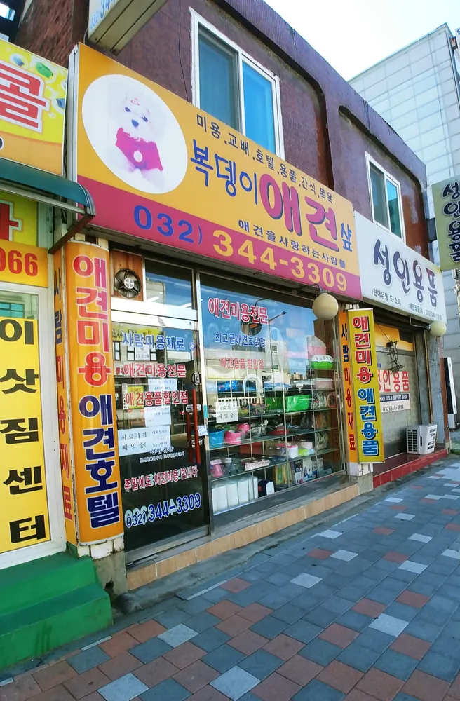 복뎅이애견샵 대표 이미지