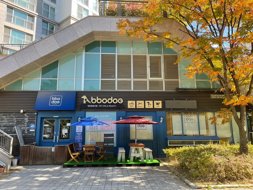 뽀독애견미용 대표 이미지