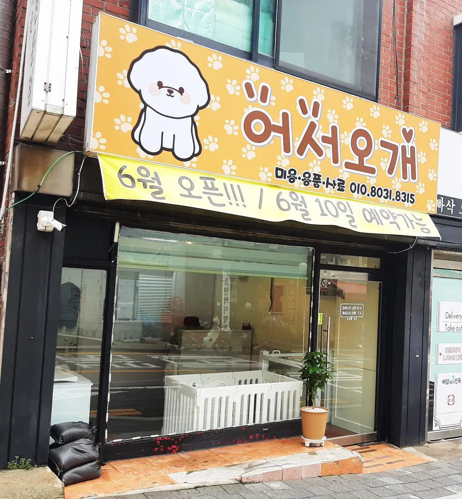 어서오개 대표 이미지