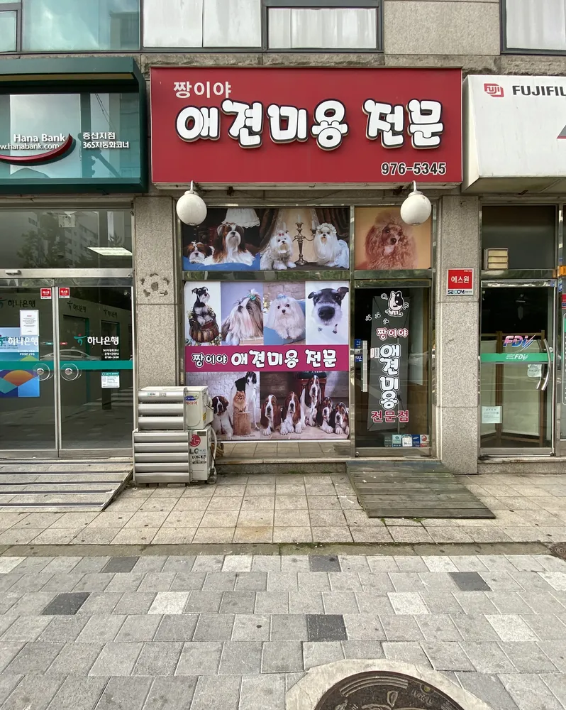 짱이야애견미용 대표 이미지