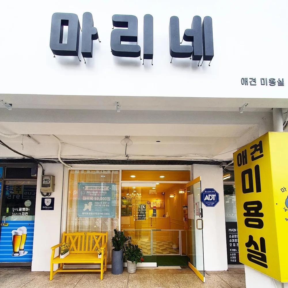 마리네 애견미용실 대표 이미지
