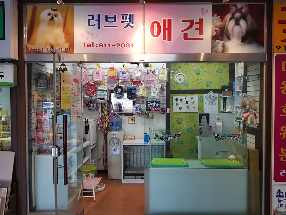 러브펫애견 대표 이미지