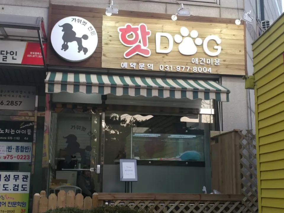 핫Dog 애견미용 대표 이미지