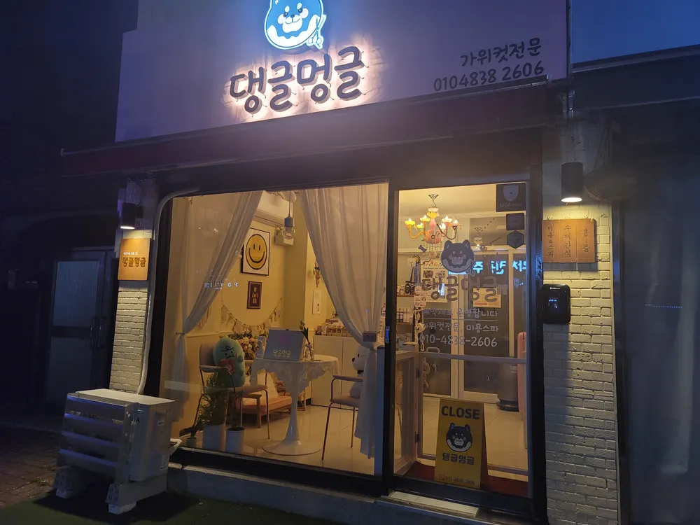 댕글멍글 애견미용실 대표 이미지
