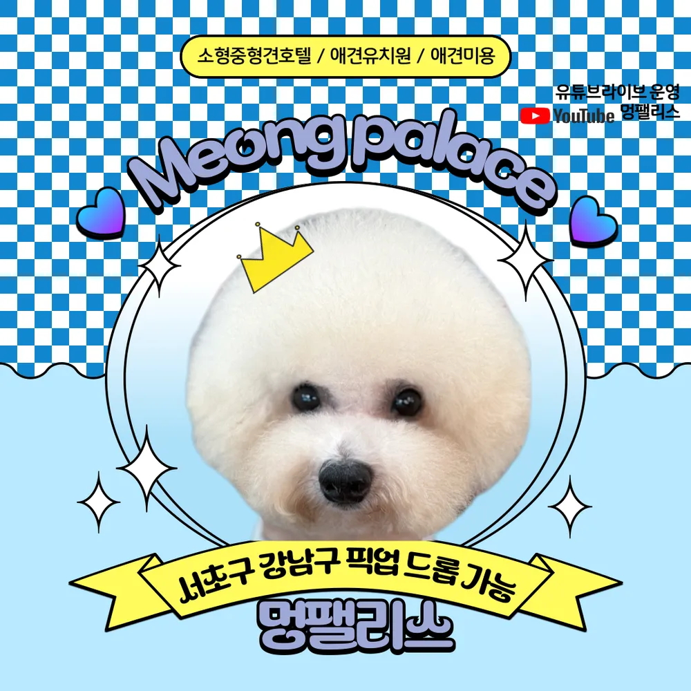 멍팰리스 대표 이미지