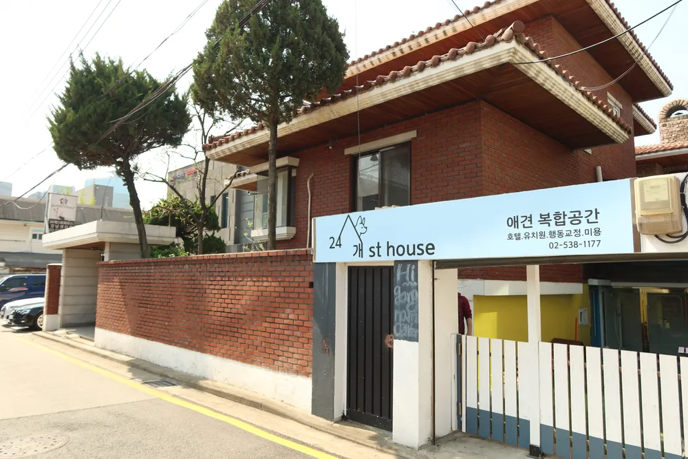24개스트하우스 강남강아지유치원 대표 이미지