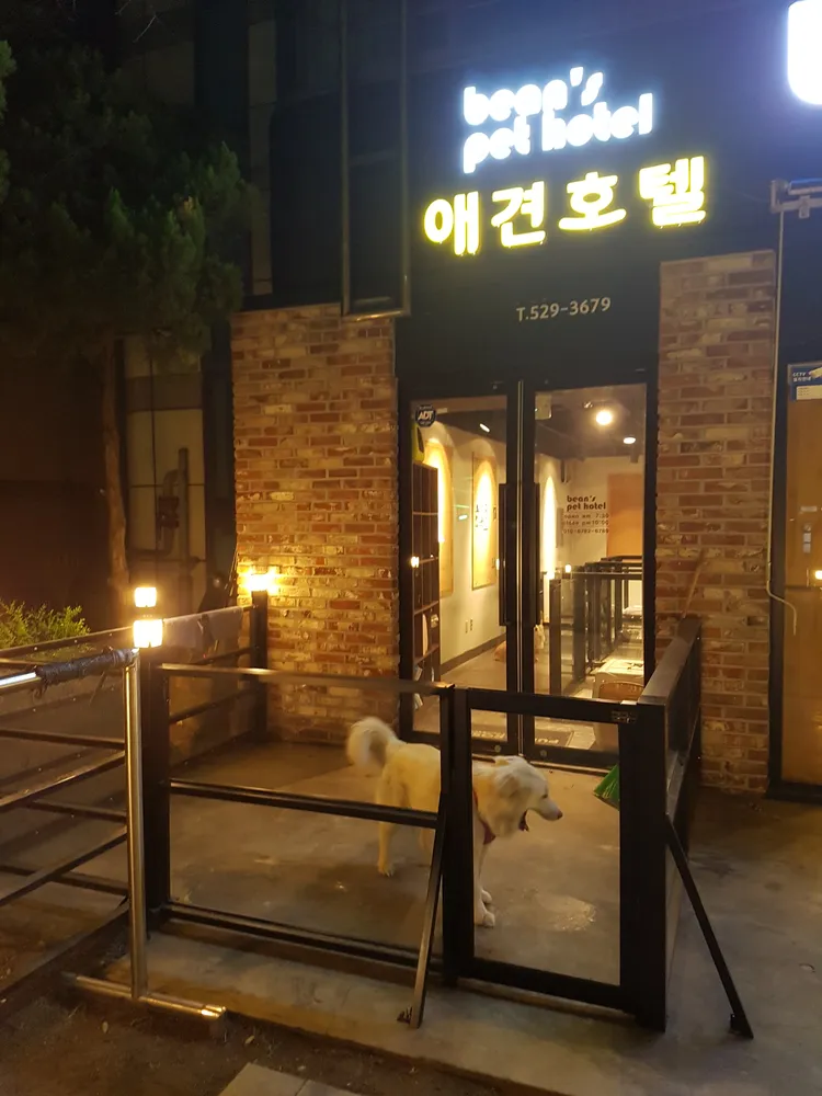빈스애견호텔 대표 이미지