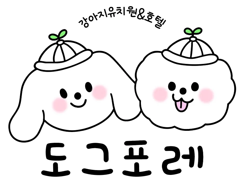 도그포레 강아지유치원 대표 이미지