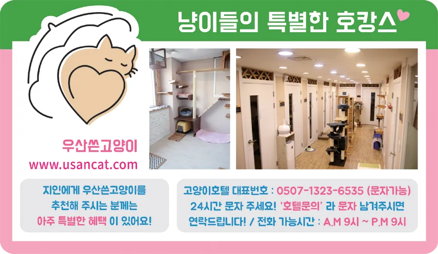 우산쓴고양이 대표 이미지