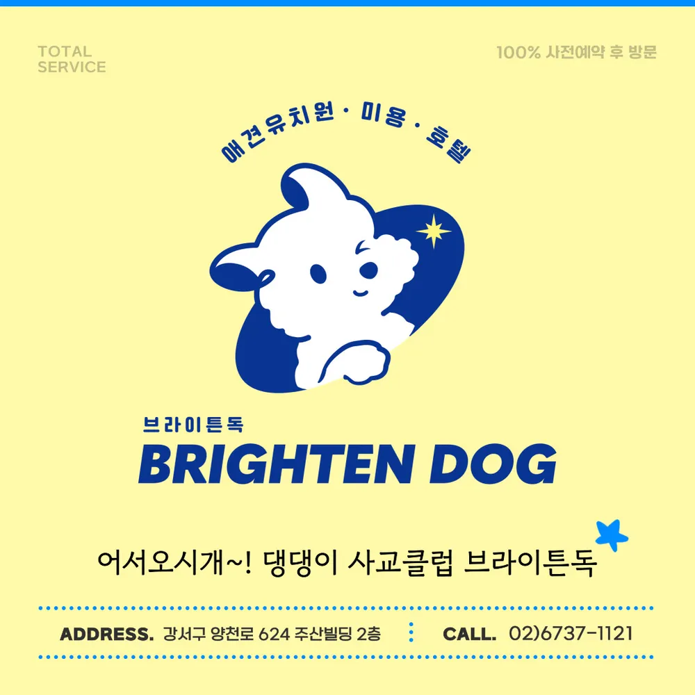 브라이튼독 대표 이미지