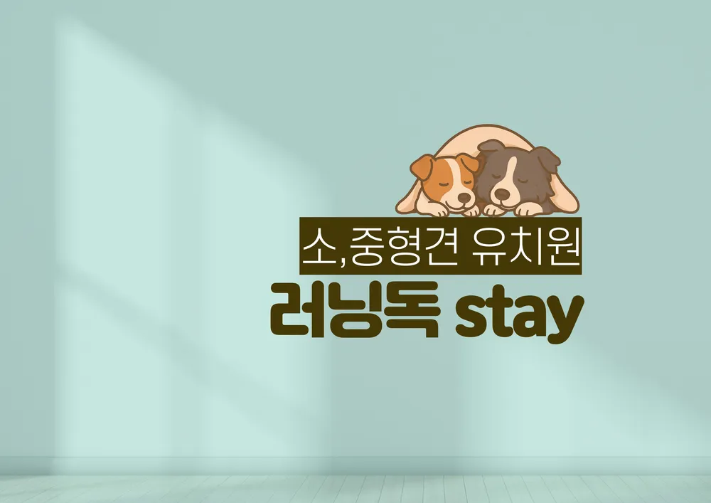 러닝독스테이 애견유치원 애견호텔 대표 이미지