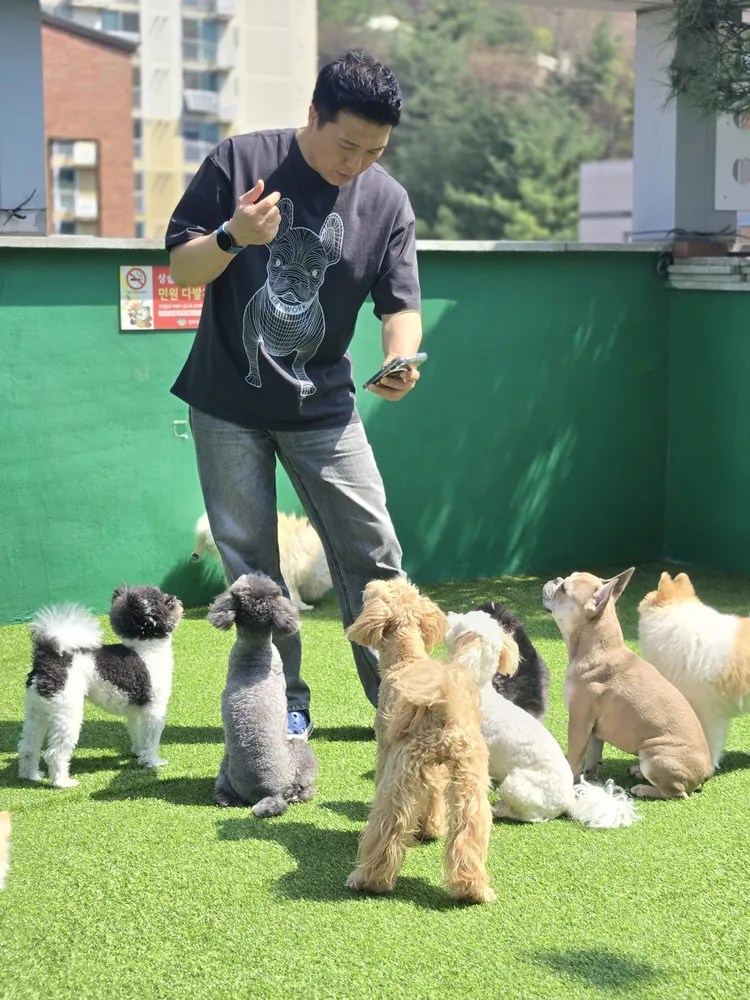 스마트독 대표 이미지