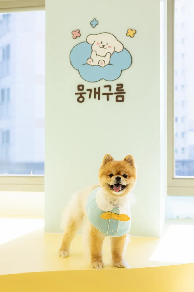 뭉개구름 대표 이미지