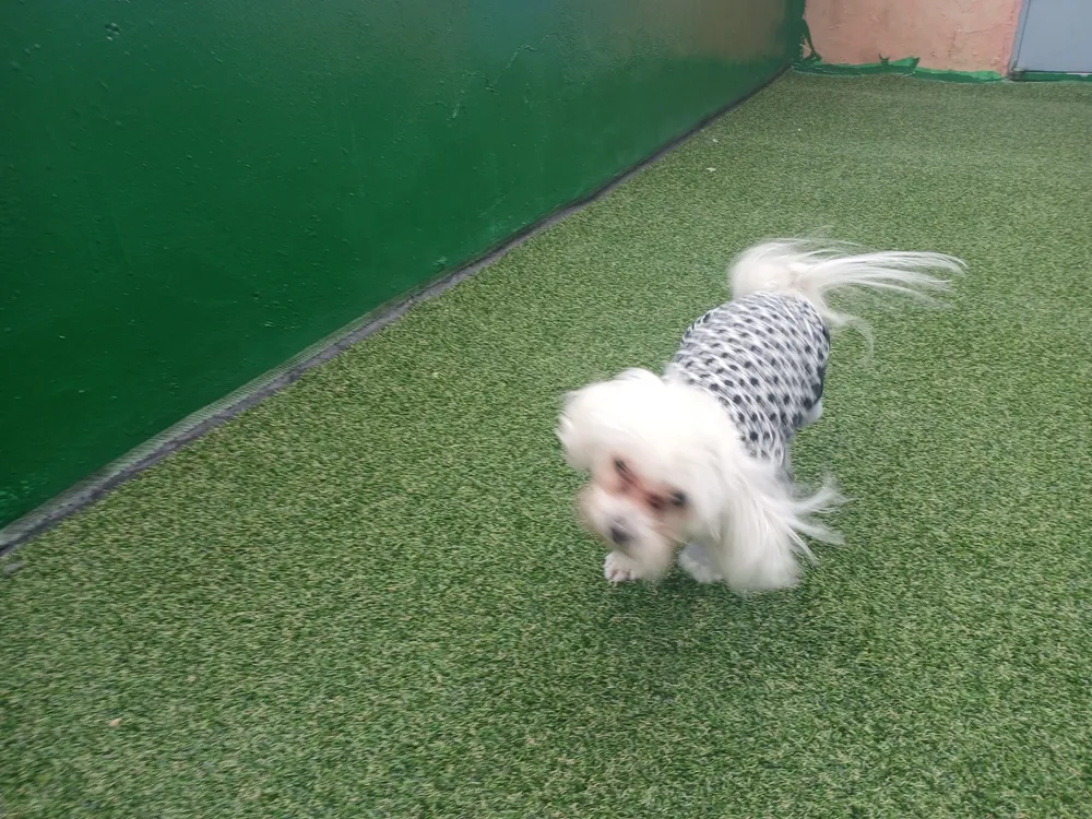 견생유치원 대표 이미지