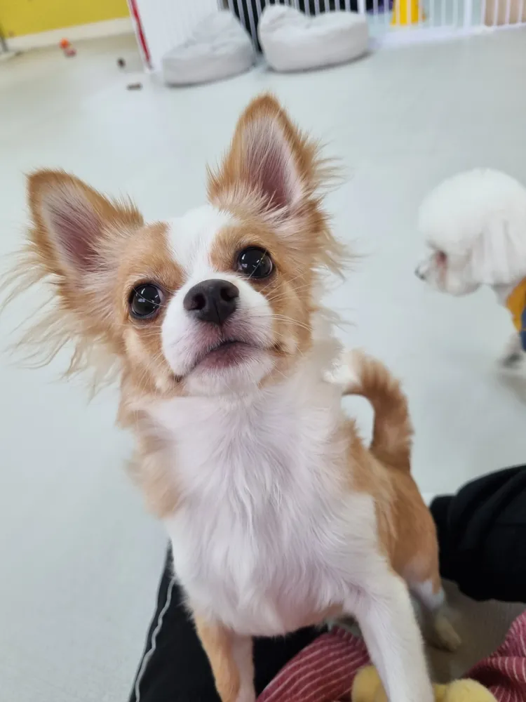 놀멍쉬멍 대표 이미지