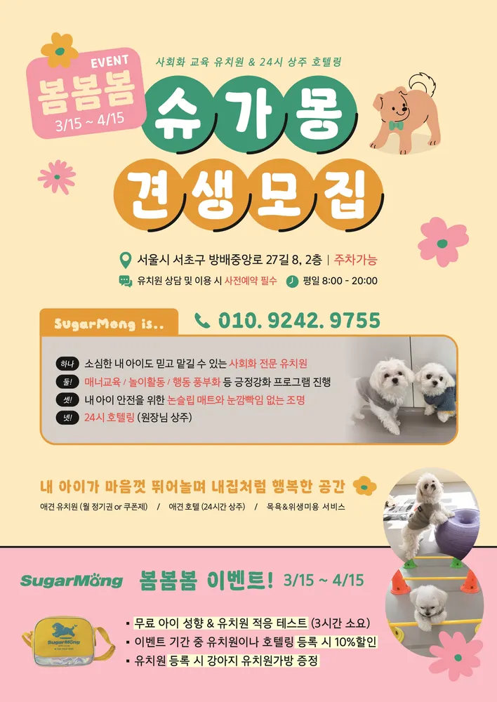 슈가몽 강아지유치원 대표 이미지