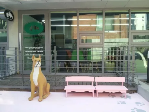 남서울펫살롱 대표 이미지