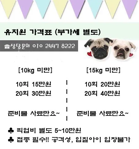 개라다이스 대표 이미지