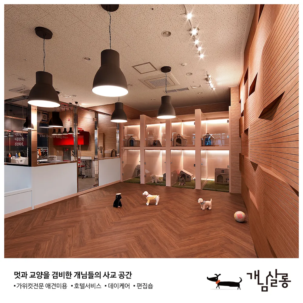 개님살롱 대표 이미지