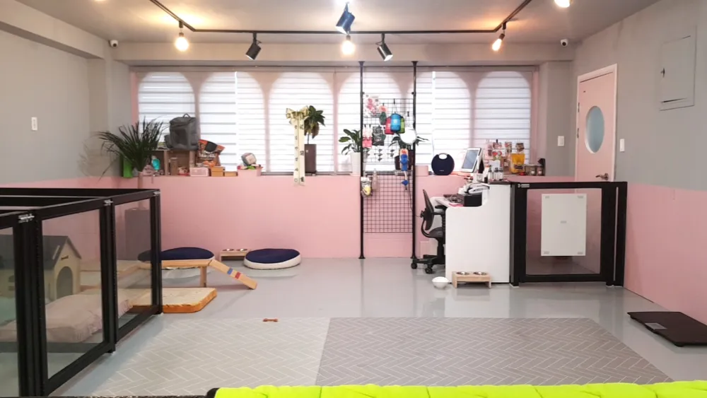 도그비잉펫케어2호점 대표 이미지
