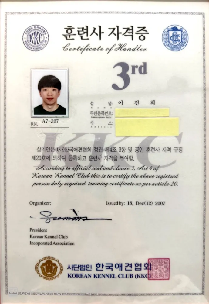 강아지정류장 대표 이미지