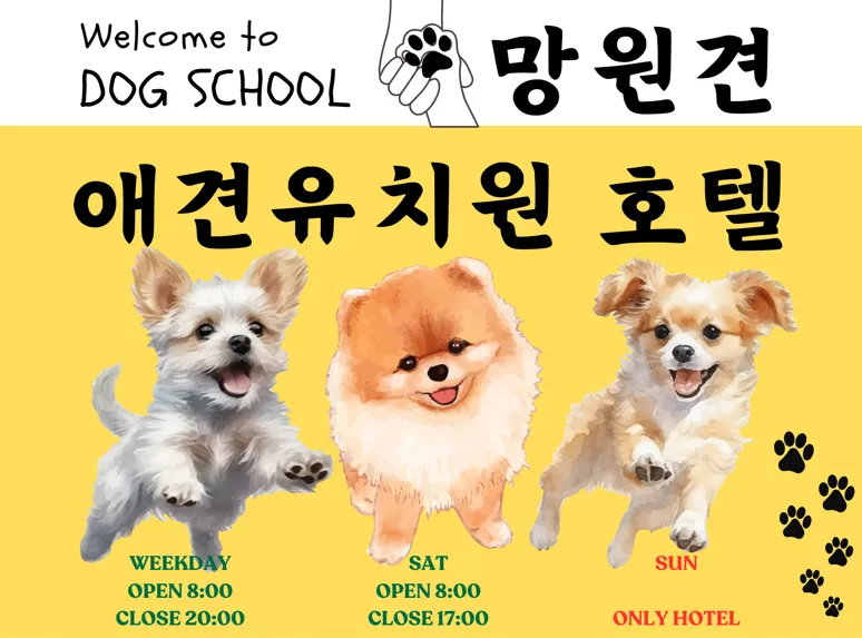 망원견 애견유치원&애견호텔 대표 이미지