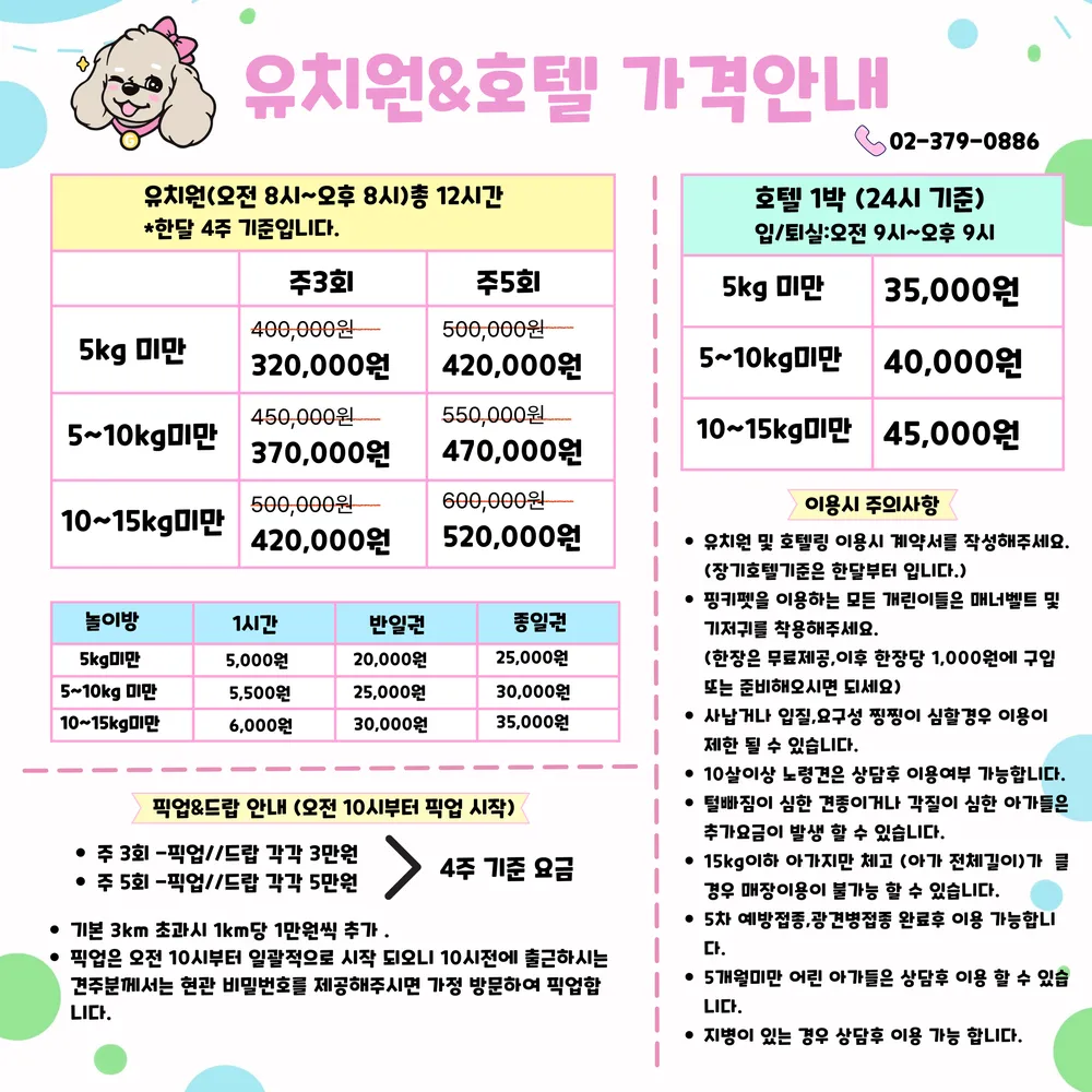 핑키펫 대표 이미지