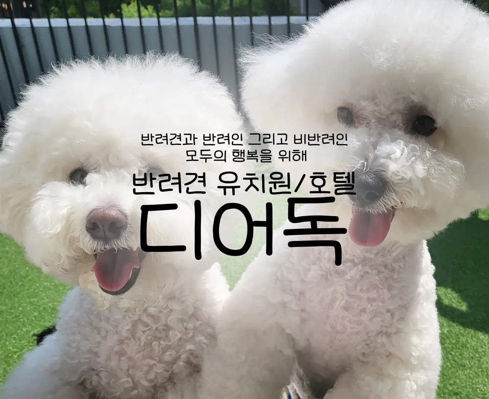 디어독 대표 이미지