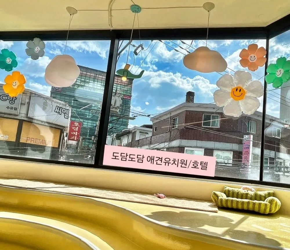 도담도담애견유치원 대표 이미지