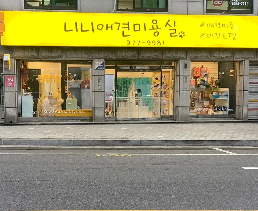 니니애견미용실 대표 이미지
