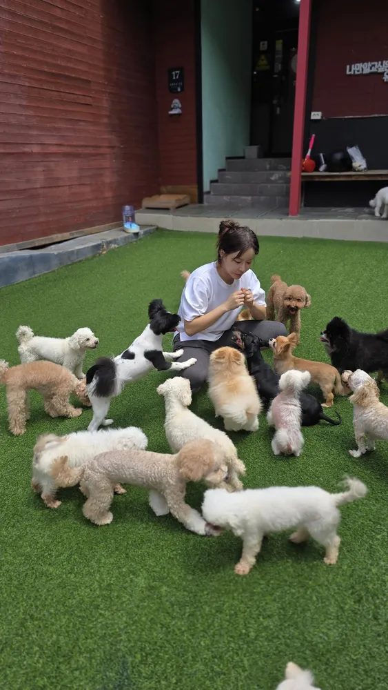 윤앤퍼피 강남본점 대표 이미지