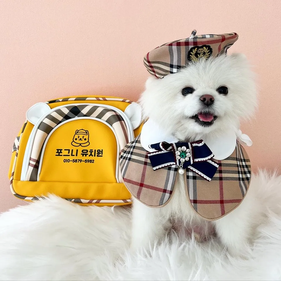 포그니 강아지 유치원 대표 이미지