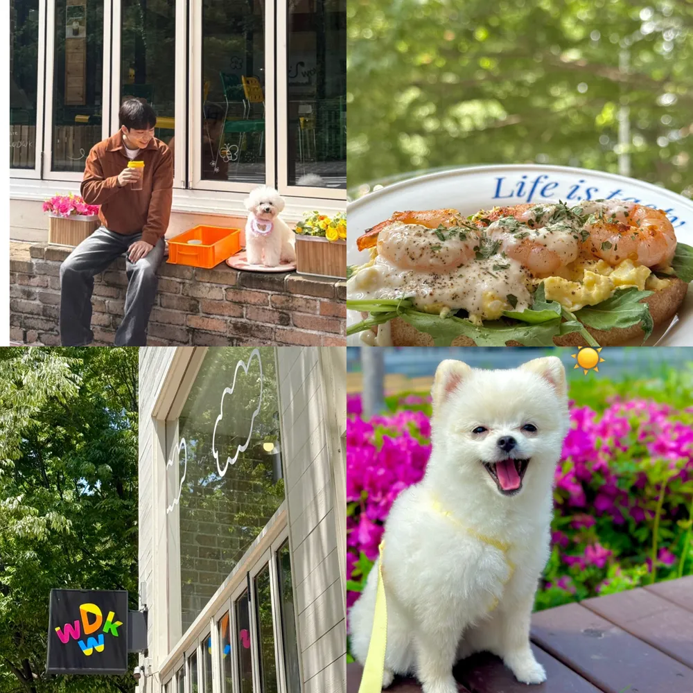 위디위키 대표 이미지