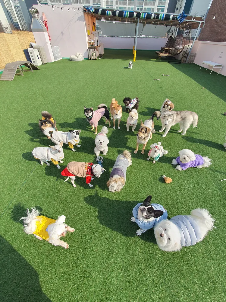 486독캠프 남구점 대표 이미지