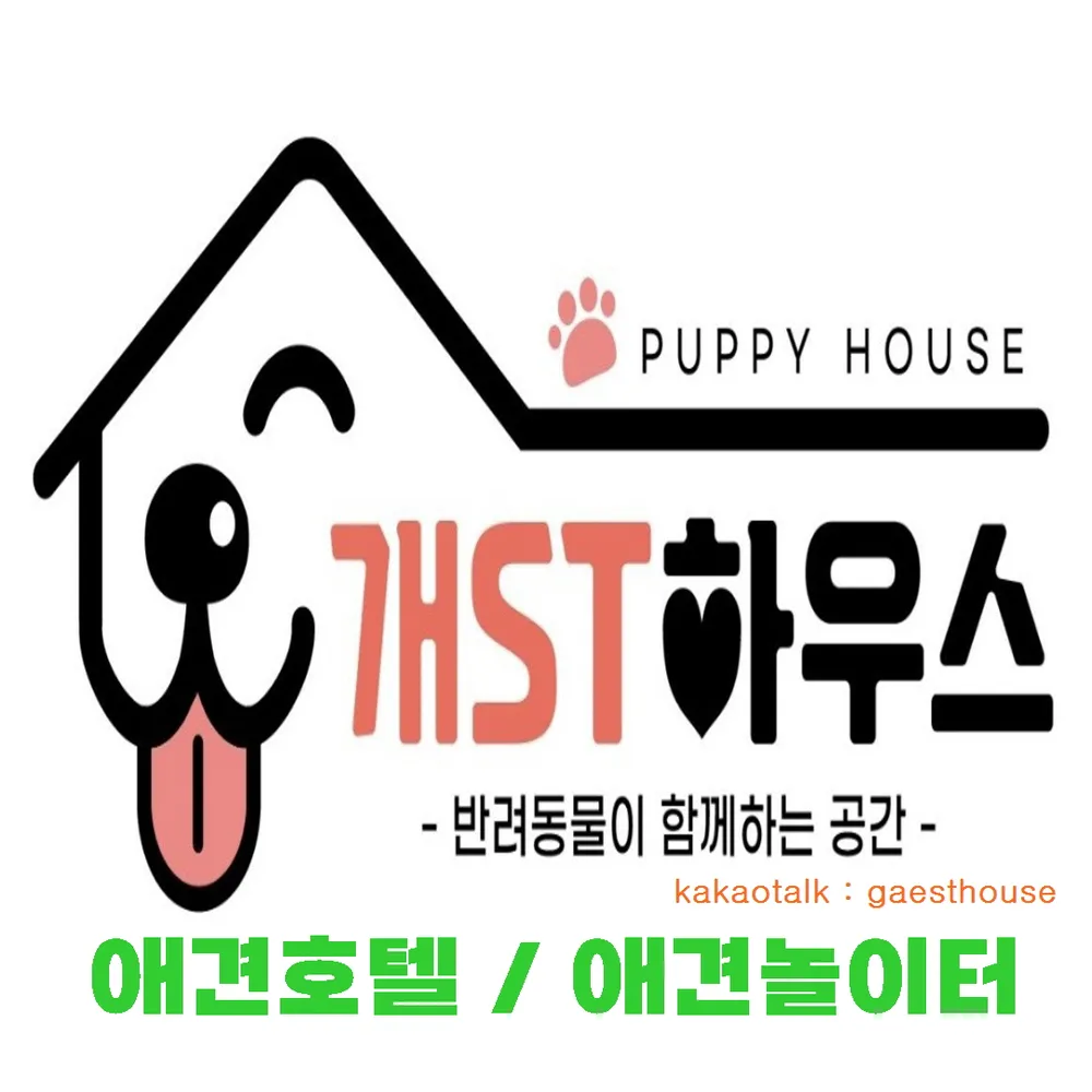개ST하우스 대표 이미지