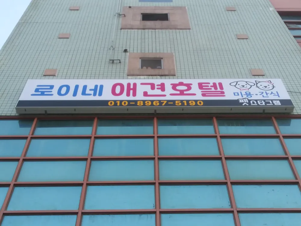 로이네 애견호텔 대표 이미지