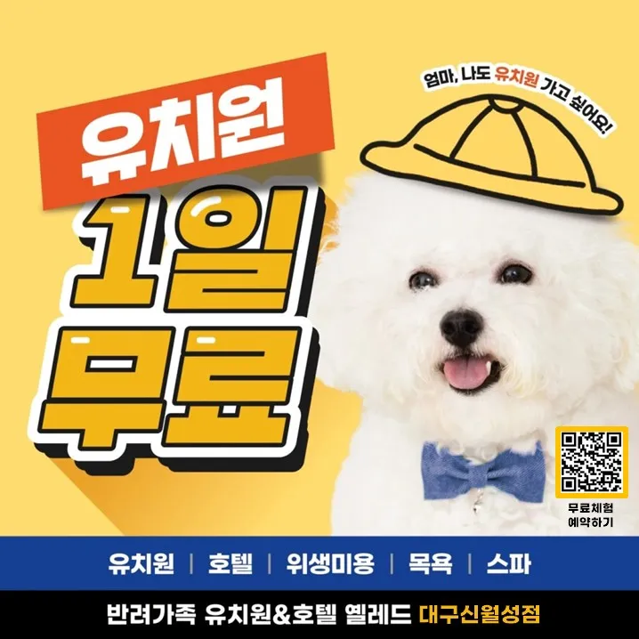 옐레드 대구신월성점 대표 이미지