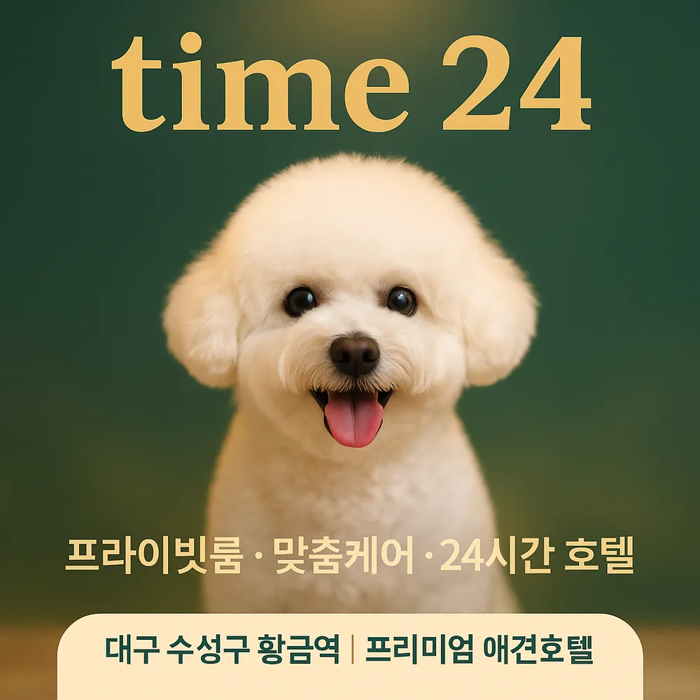 애견호텔 타임24 대구황금역점 대표 이미지