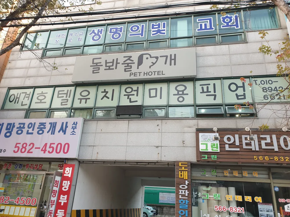 돌봐줄개 대표 이미지