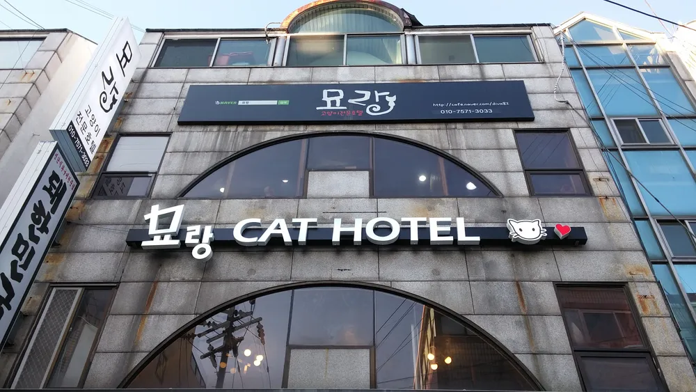 고양이호텔묘랑 대표 이미지