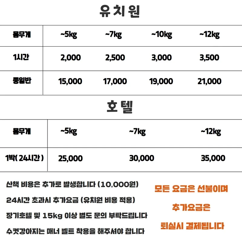 쁘띠펫 대표 이미지