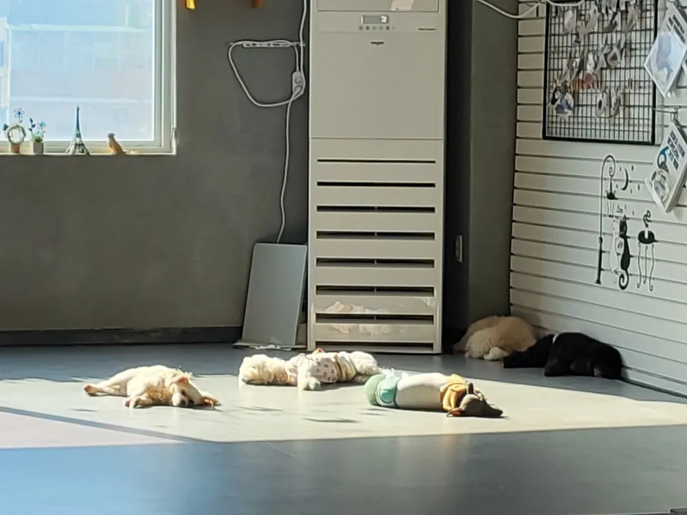 개스트하우스 대표 이미지