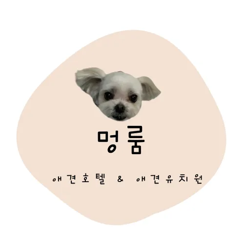 멍룸 애견호텔 , 애견유치원 대표 이미지