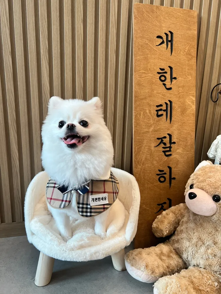 개편한세상 대표 이미지
