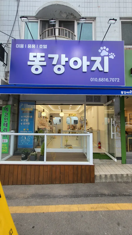 똥강아지 대표 이미지